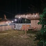 Pinegroove Hostel *