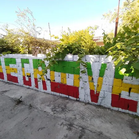 Pinegroove Hostal