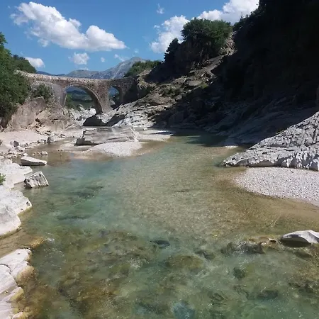 Pinegroove * Vlorë