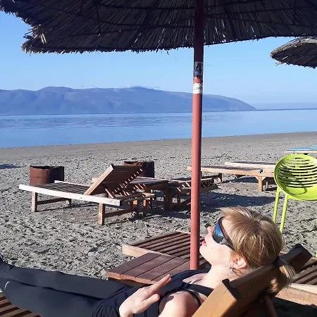 Pinegroove Hostal