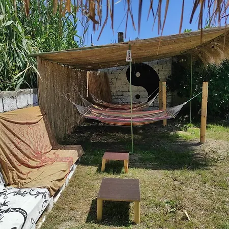 Pinegroove Hostal