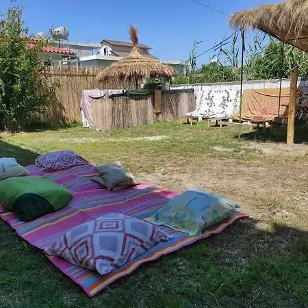Pinegroove * Vlorë