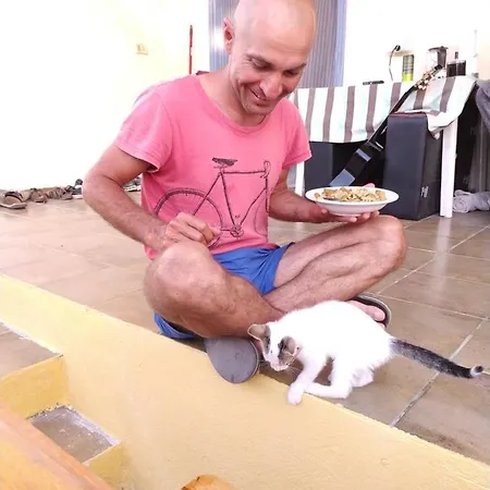 Pinegroove * Vlorë