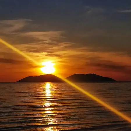 Auberge de jeunesse Pinegroove Vlorë