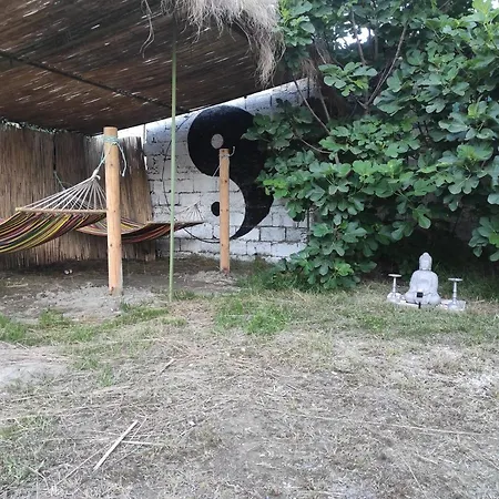 Хостел Pinegroove *