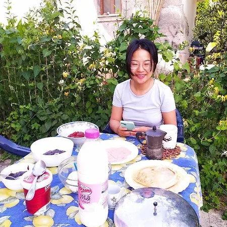 Pinegroove Auberge de jeunesse